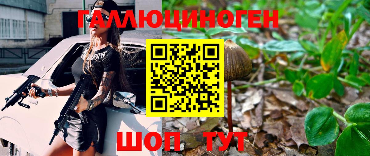 Знаменск  Псилоцибиновые грибы мицелий  Вход с VPN  Псилоцибиновые грибы Psilocybe 
