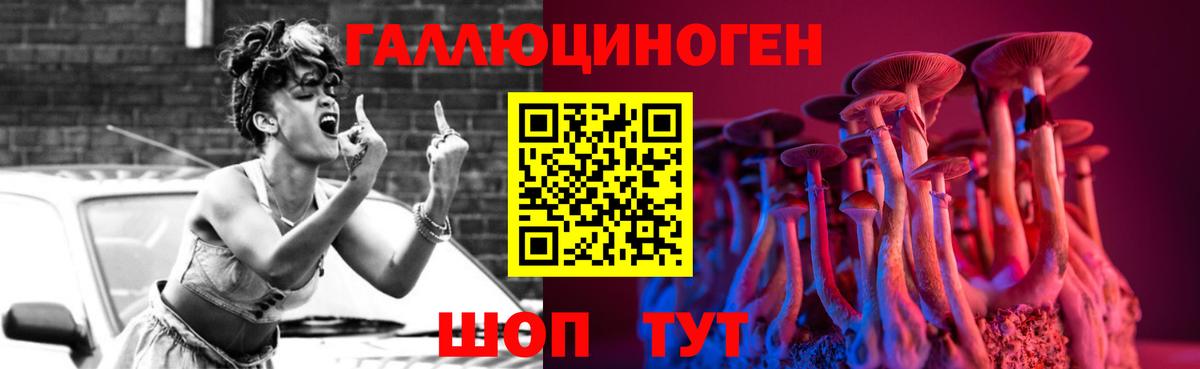 Галлюциногенные грибы Psilocybine cubensis Знаменск